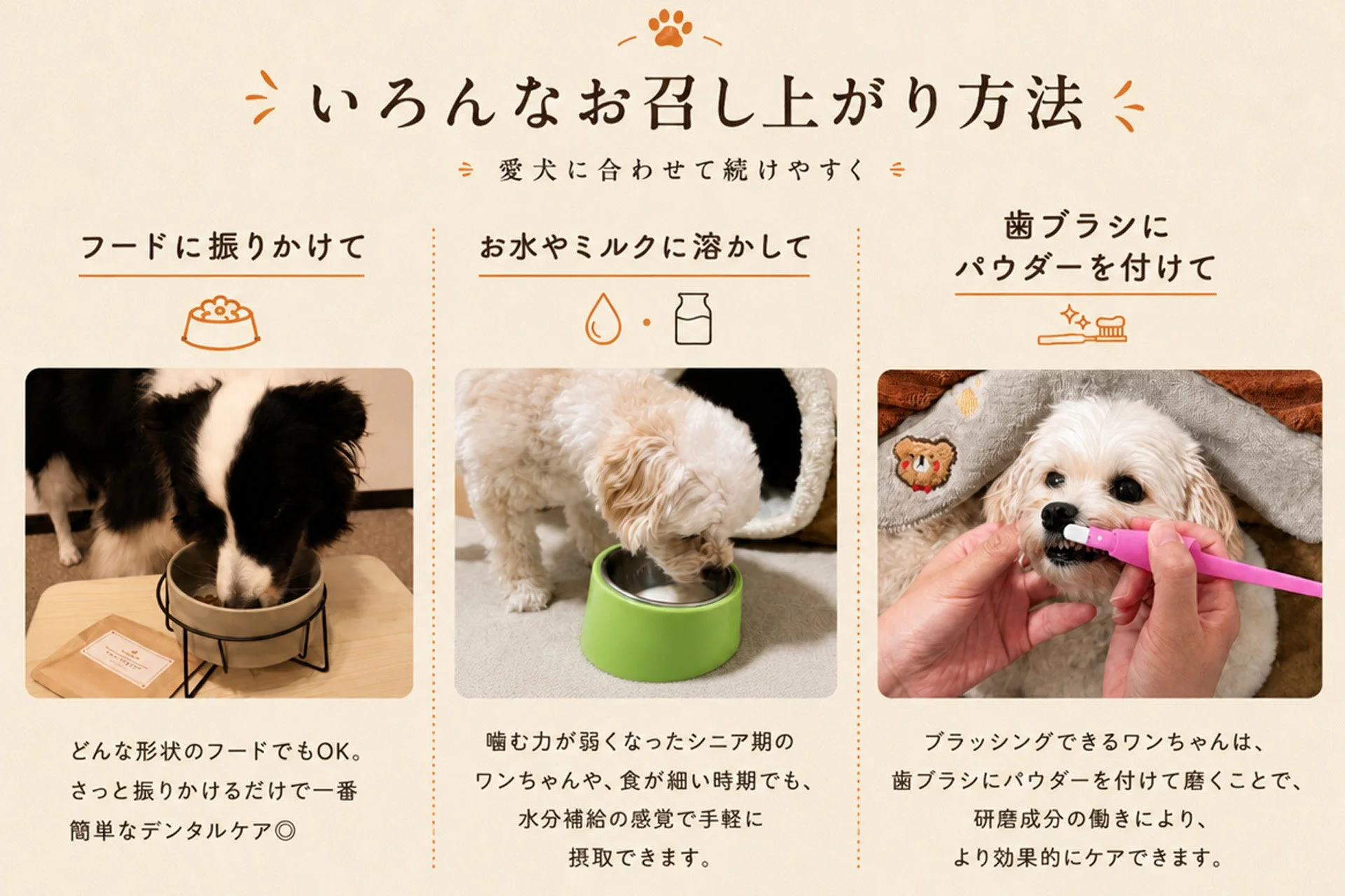 愛犬用のデンタルケア製品の3つの与え方を紹介する画像
