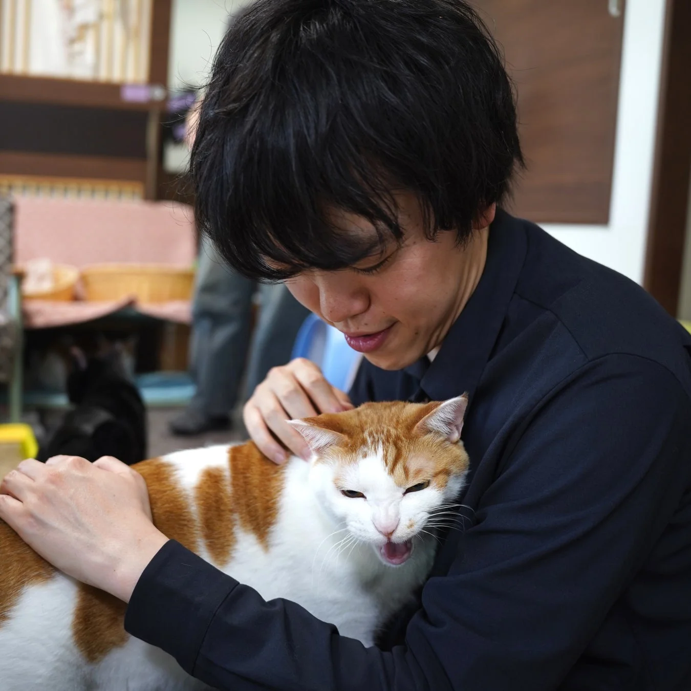 男性が猫を抱きかかえている様子