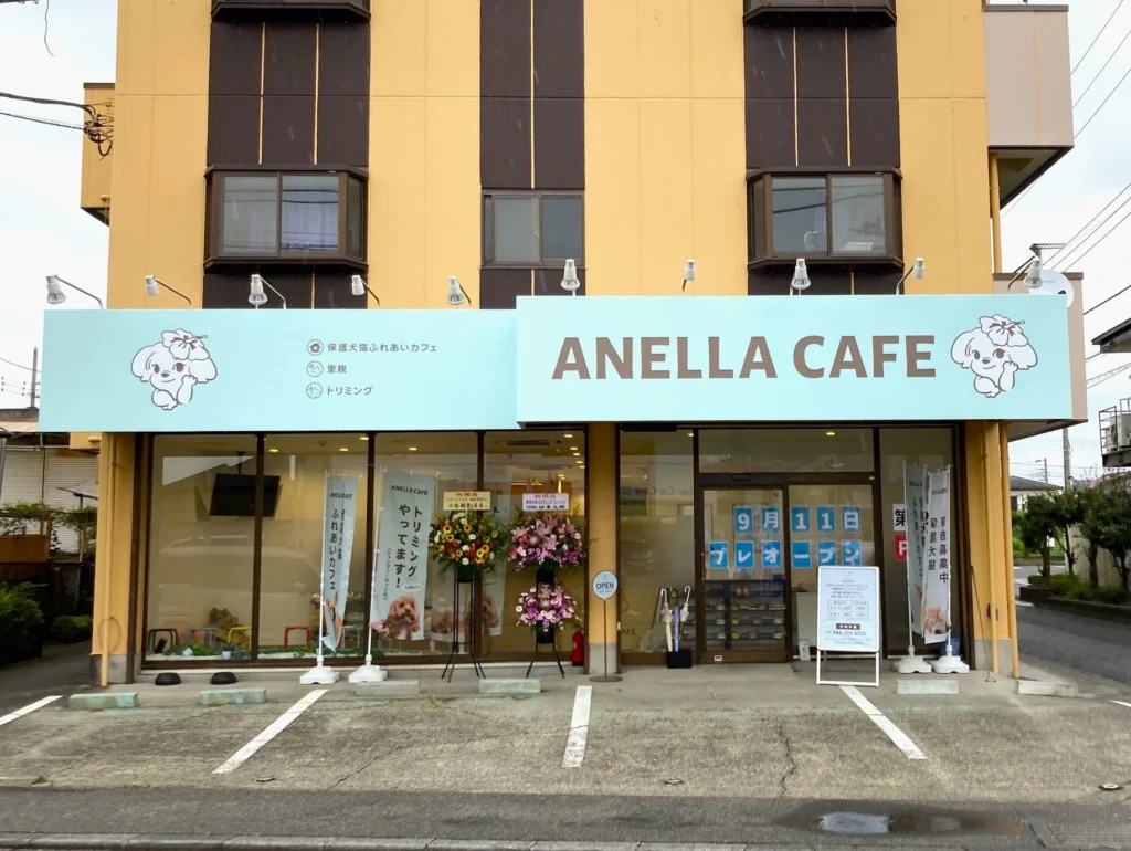 保護犬猫カフェ「ANELLA CAFE 相模原橋本店」が9月11日オープン!人と動物のやさしい循環を地域へ