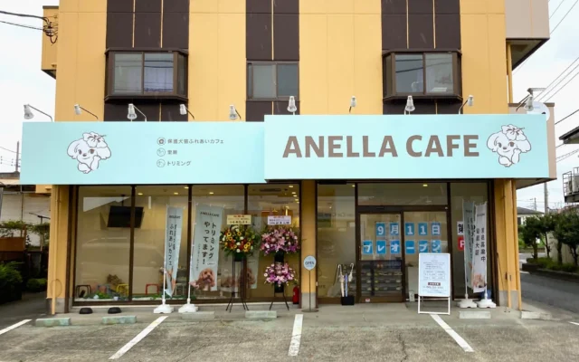 保護犬猫カフェ「ANELLA CAFE 相模原橋本店」が9月11日オープン!人と動物のやさしい循環を地域へ