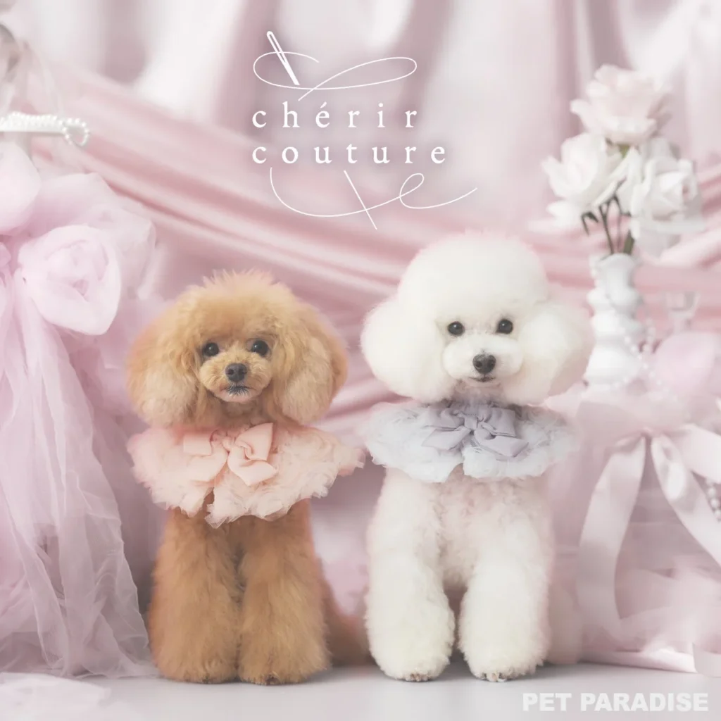 愛犬のための特別な一着「chérircouture」2026オータムコレクションが登場！遊び心あふれるリボンとフリルでドレスアップからデイリーまで