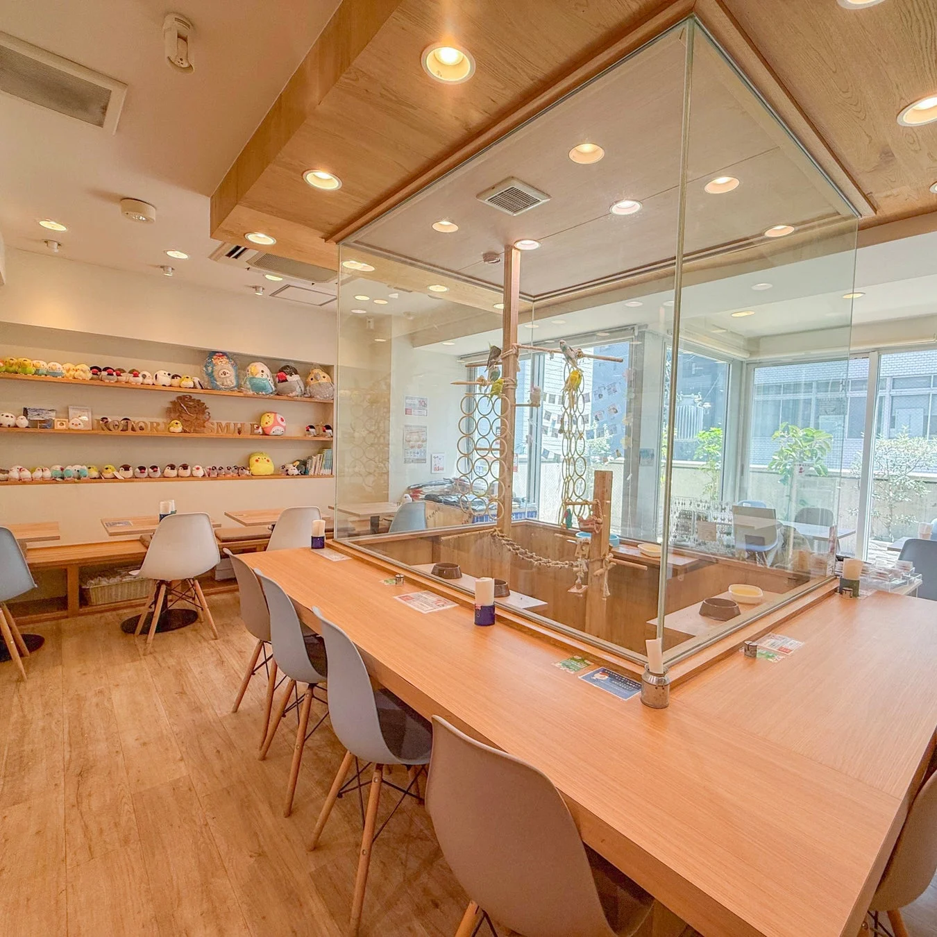 鳥カフェの店内