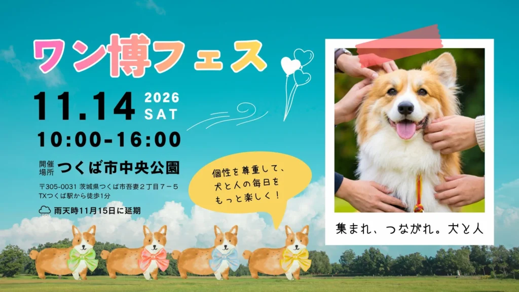 犬の個性を「リボン」で可視化!つくば市で「ワン博フェス」開催、犬と人の豊かな交流を育む