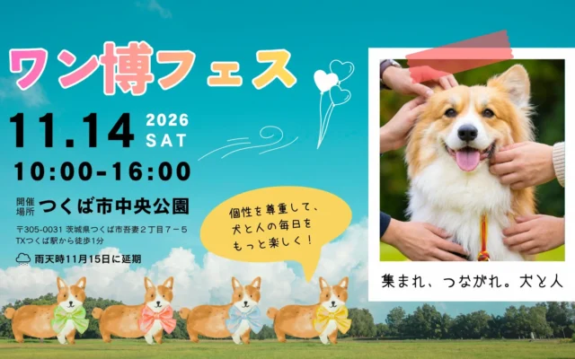 犬の個性を「リボン」で可視化!つくば市で「ワン博フェス」開催、犬と人の豊かな交流を育む