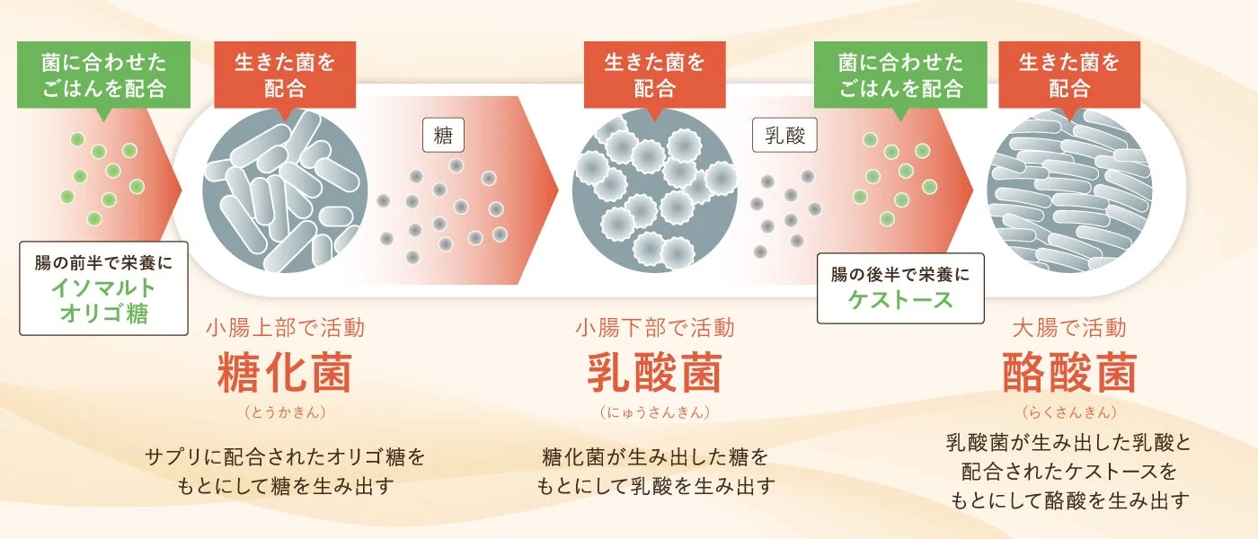 腸内環境へのアプローチ図